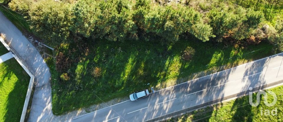 Terrain à Mões de 7 230 m²