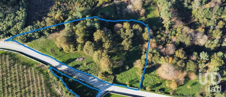 Terrain à Mões de 7 230 m²