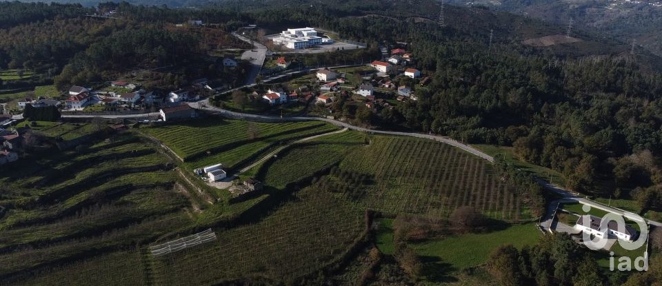 Terrain à Mões de 7 230 m²