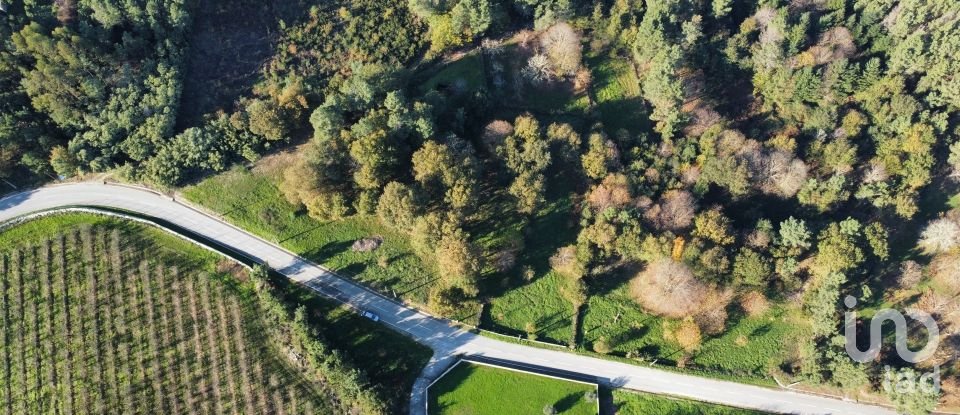 Terrain à Mões de 7 230 m²