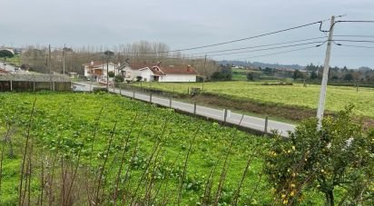 Maison T5 à Válega de 225 m²