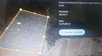 Land in Ramalhal of 13,880 m²
