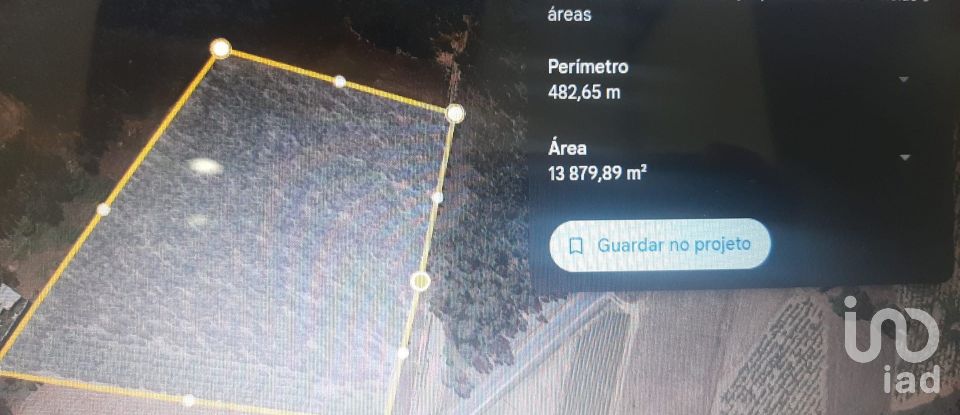 Terreno em Ramalhal de 13 880 m²