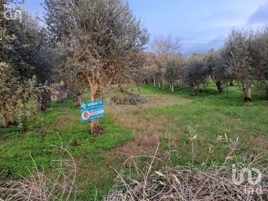 Terreno em Lousã e Vilarinho de 450 m²