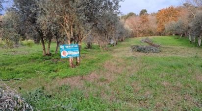 Terrain à Lousã e Vilarinho de 450 m²
