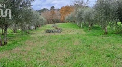 Terrain à Lousã e Vilarinho de 450 m²