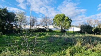 Terrain à bâtir à Loulé (São Clemente) de 3 981 m²