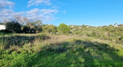 Terrain à bâtir à Loulé (São Clemente) de 3 981 m²
