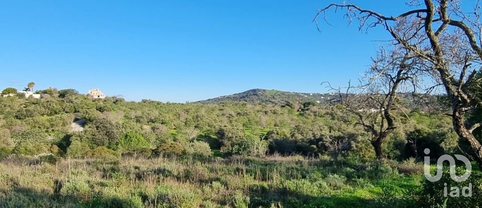 Terreno urbano em Loulé (São Clemente) de 3 981 m²