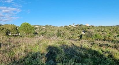 Terrain à bâtir à Loulé (São Clemente) de 3 981 m²