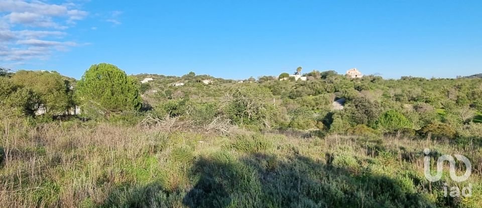 Terreno urbano em Loulé (São Clemente) de 3 981 m²