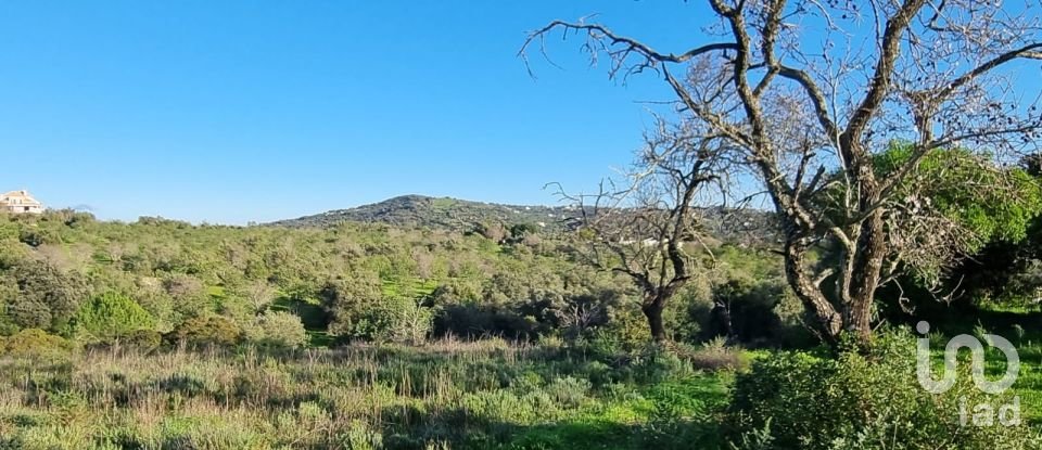 Terreno urbano em Loulé (São Clemente) de 3 981 m²
