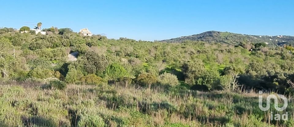 Terreno urbano em Loulé (São Clemente) de 3 981 m²