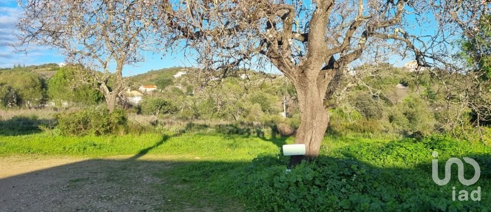 Terreno urbano em Loulé (São Clemente) de 3 981 m²