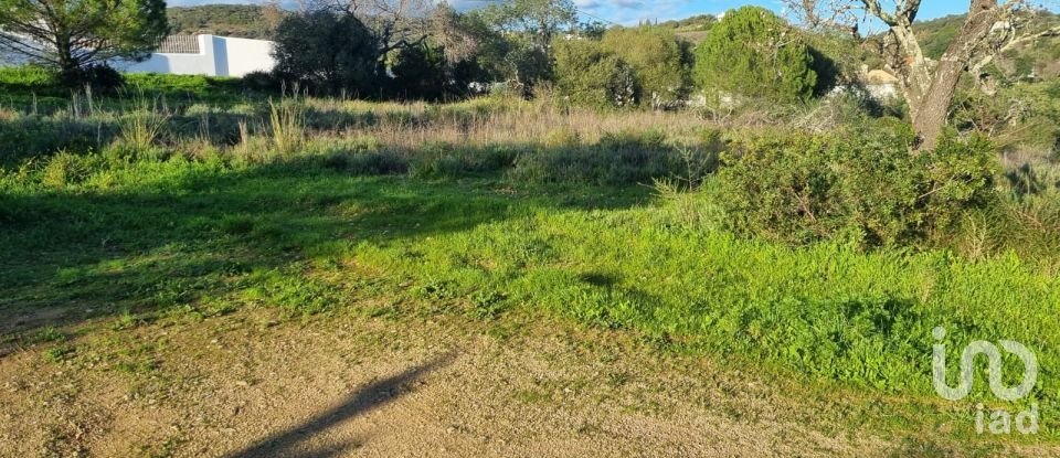 Terreno urbano em Loulé (São Clemente) de 3 981 m²