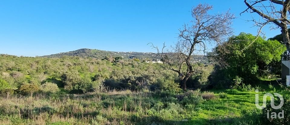 Terreno urbano em Loulé (São Clemente) de 3 981 m²