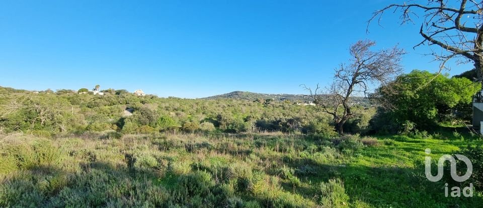 Terreno urbano em Loulé (São Clemente) de 3 981 m²