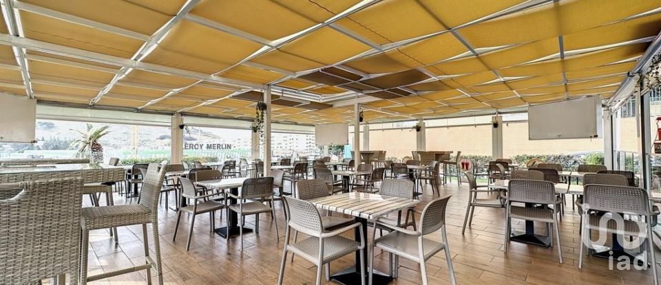 Shop / premises commercial in São Martinho of 800 m²