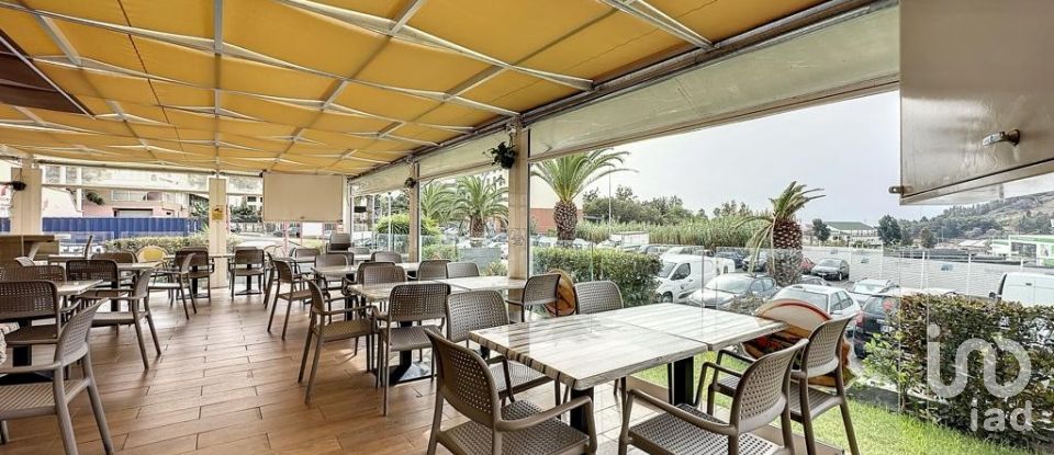 Shop / premises commercial in São Martinho of 800 m²