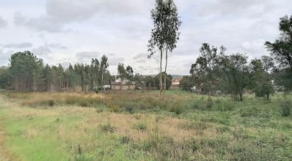 Building land in Amor of 2,619 m²