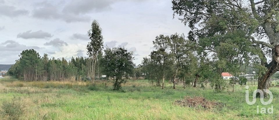 Building land in Amor of 2,619 m²