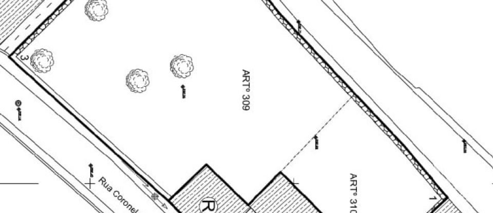 Lodge T4 in Veiros of 185 m²