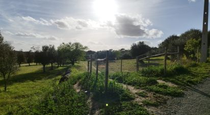 Terrain à Corval de 106 000 m²