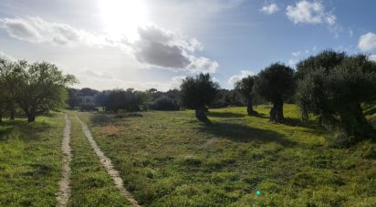 Terrain à Corval de 106 000 m²