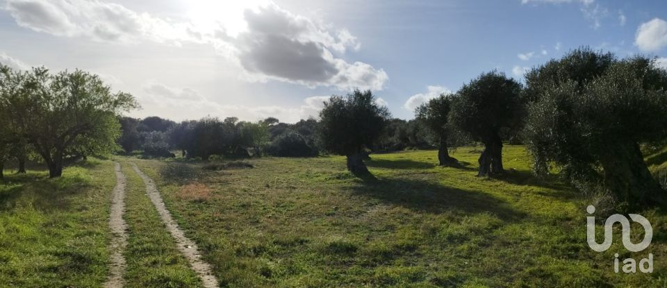 Land in Corval of 106,000 m²