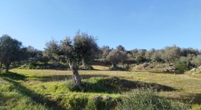 Terrain à Corval de 106 000 m²