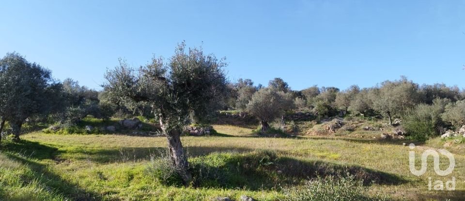 Land in Corval of 106,000 m²