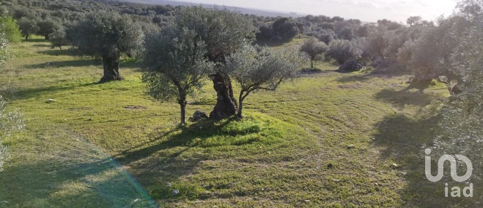 Land in Corval of 106,000 m²