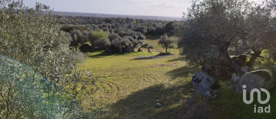 Land in Corval of 106,000 m²