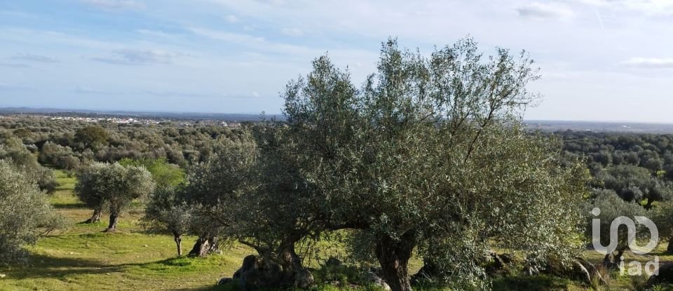 Land in Corval of 106,000 m²