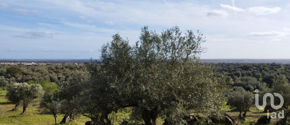 Land in Corval of 106,000 m²