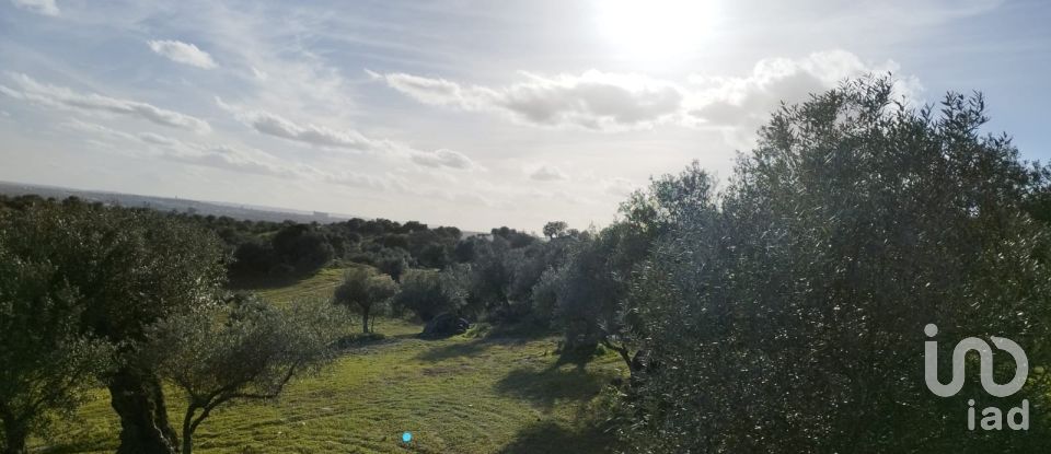 Land in Corval of 106,000 m²