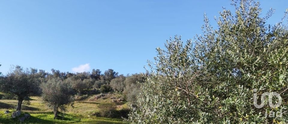Land in Corval of 106,000 m²