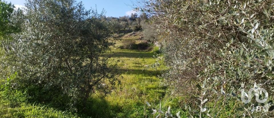 Land in Corval of 106,000 m²