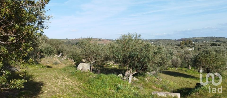 Land in Corval of 106,000 m²