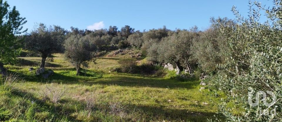 Land in Corval of 106,000 m²