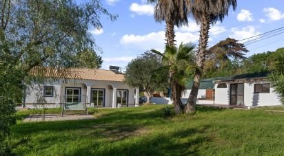 Gîte T3 à Lagoa e Carvoeiro de 135 m²