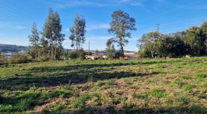 Terrain à Leiria, Pousos, Barreira e Cortes de 4 900 m²