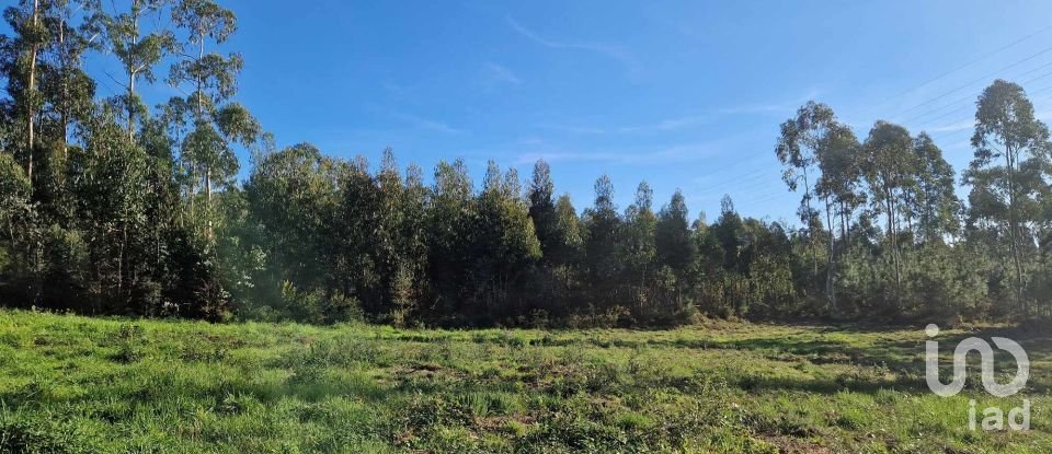 Terreno em Leiria, Pousos, Barreira e Cortes de 4 900 m²