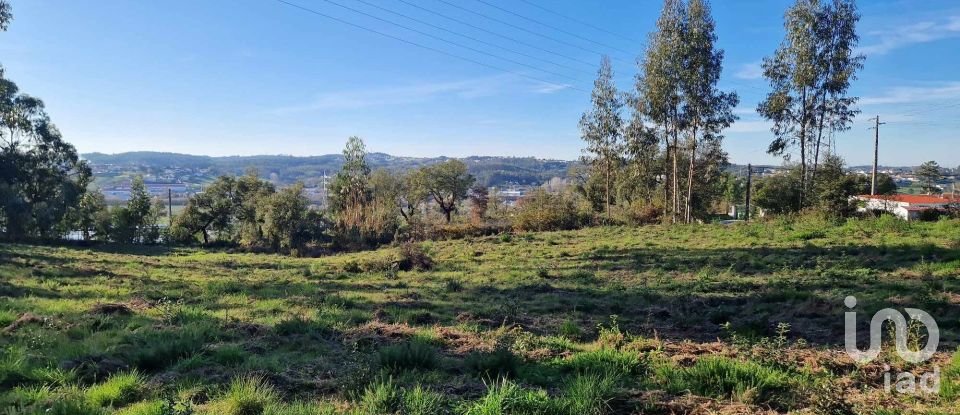 Terrain à Leiria, Pousos, Barreira e Cortes de 4 900 m²