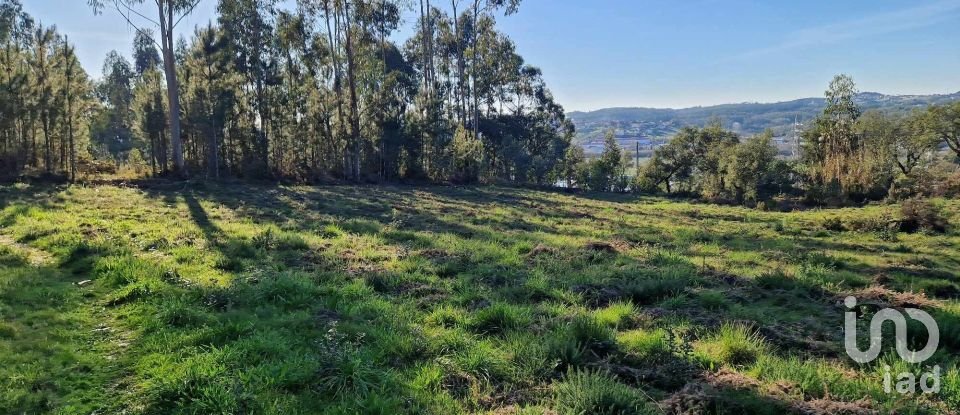 Terrain à Leiria, Pousos, Barreira e Cortes de 4 900 m²