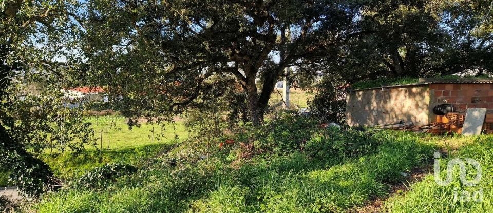 Terrain à Leiria, Pousos, Barreira e Cortes de 4 900 m²