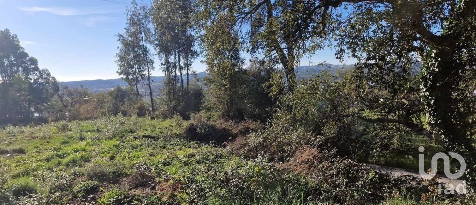 Terrain à Leiria, Pousos, Barreira e Cortes de 4 900 m²