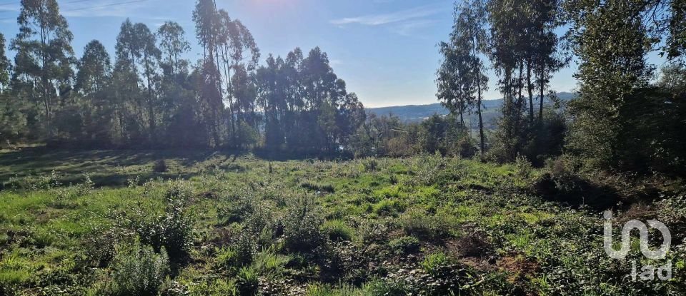 Terrain à Leiria, Pousos, Barreira e Cortes de 4 900 m²