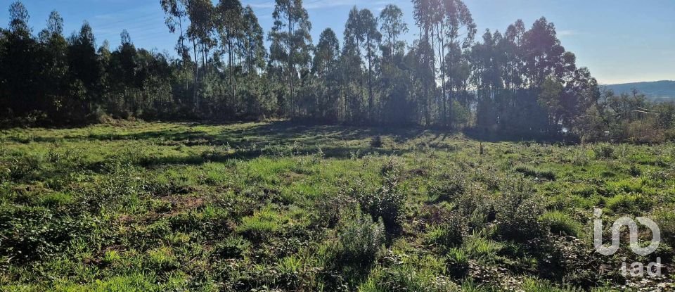 Terrain à Leiria, Pousos, Barreira e Cortes de 4 900 m²