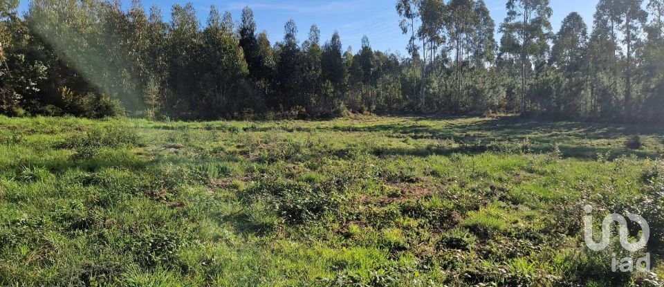 Terrain à Leiria, Pousos, Barreira e Cortes de 4 900 m²
